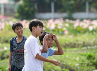 อาหารที่มี ฟอสฟอรัสสูง เหมาะสำหรับร่างกาย มีอะไรบ้าง